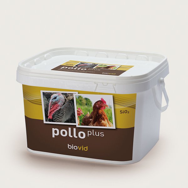 pollo plus