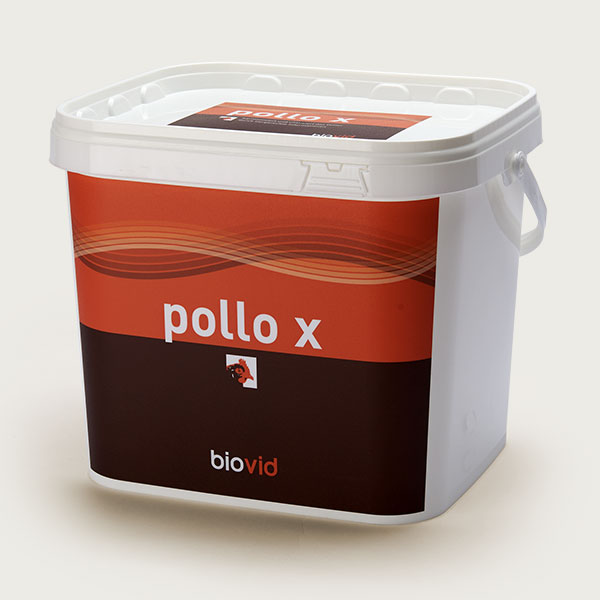 pollo x