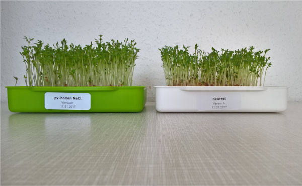 Plantavid Anwendung